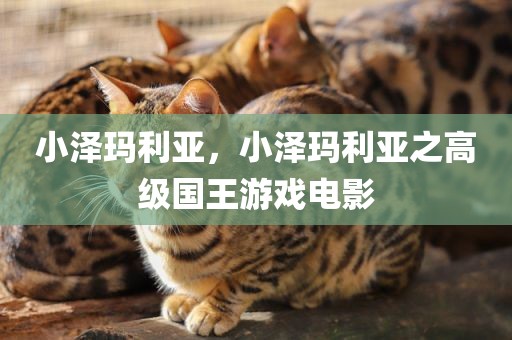 小泽玛利亚，小泽玛利亚之高级国王游戏电影