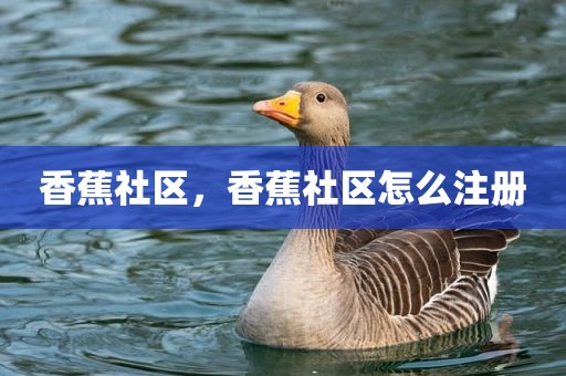香蕉社区，香蕉社区怎么注册