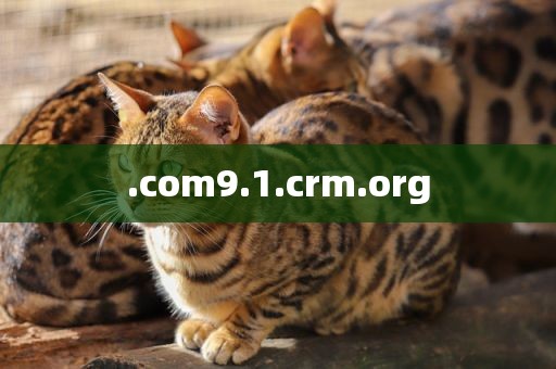 .com9.1.crm.org