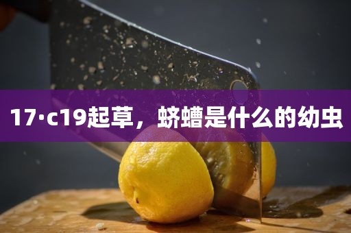 17·c19起草，蛴螬是什么的幼虫