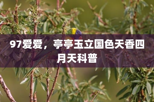 97爱爱，亭亭玉立国色天香四月天科普