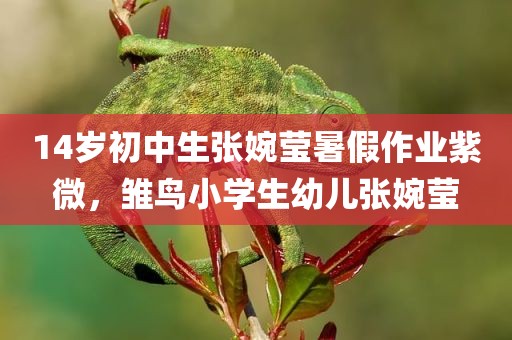 14岁初中生张婉莹暑假作业紫微，雏鸟小学生幼儿张婉莹