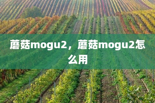 蘑菇mogu2，蘑菇mogu2怎么用