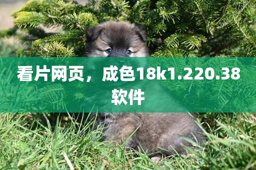 看片网页，成色18k1.220.38软件