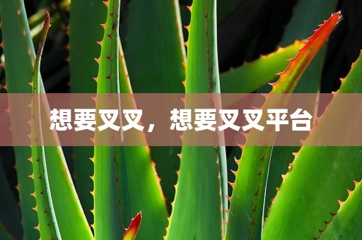 想要叉叉，想要叉叉平台