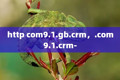 http com9.1.gb.crm，.com9.1.crm-