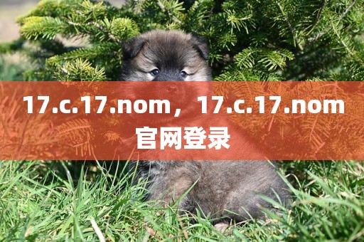 17.c.17.nom，17.c.17.nom官网登录