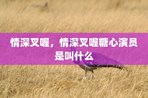 情深叉喔，情深叉喔糖心演员是叫什么