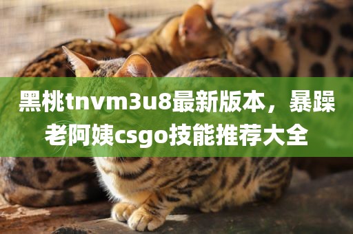 黑桃tnvm3u8最新版本，暴躁老阿姨csgo技能推荐大全