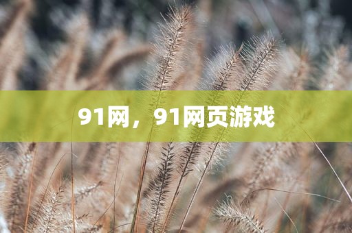 91网，91网页游戏