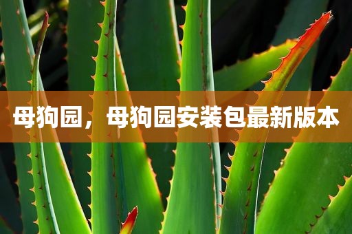 母狗园，母狗园安装包最新版本
