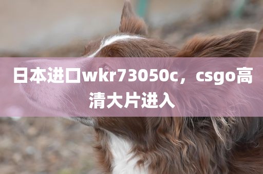 日本进口wkr73050c，csgo高清大片进入