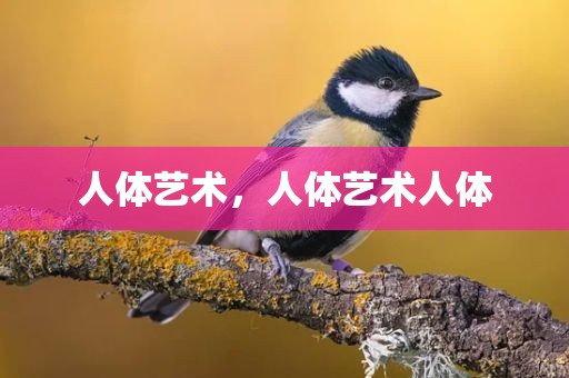 人体艺术，人体艺术人体
