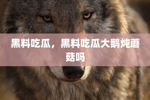 黑料吃瓜，黑料吃瓜大鹅炖蘑菇吗