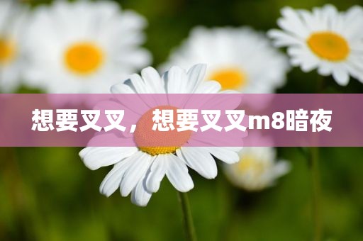 想要叉叉，想要叉叉m8暗夜