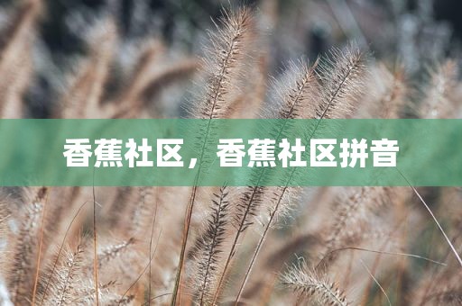 香蕉社区，香蕉社区拼音