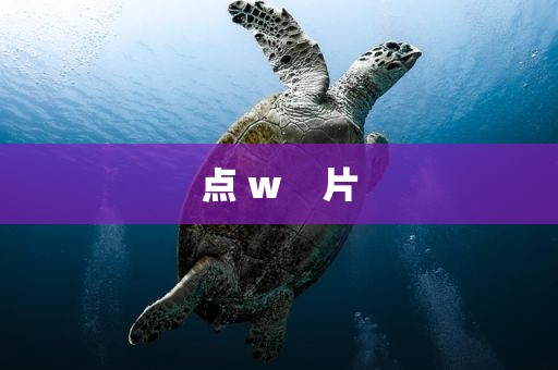 点 w    片