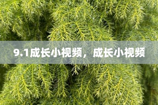 9.1成长小视频，成长小视频