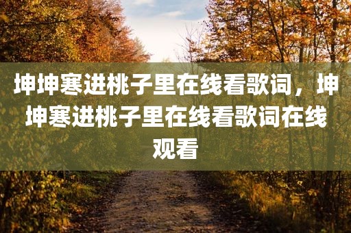 坤坤寒进桃子里在线看歌词，坤坤寒进桃子里在线看歌词在线观看