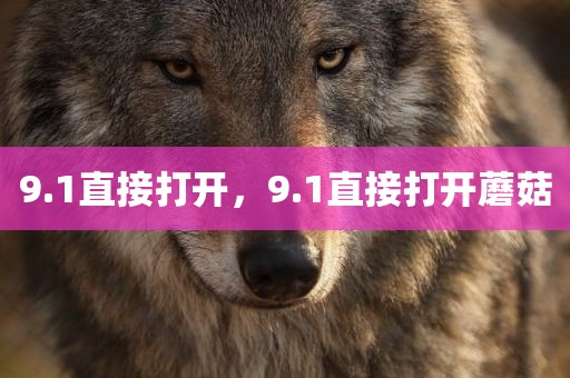 9.1直接打开，9.1直接打开蘑菇