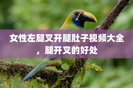 女性左腿叉开腿肚子视频大全，腿开叉的好处