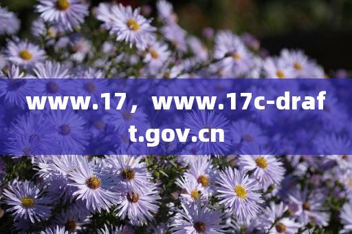 www.17，www.17c-draft.gov.cn