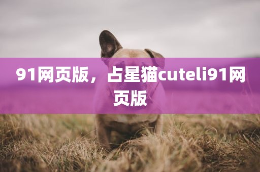 91网页版，占星猫cuteli91网页版
