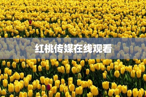 红桃传媒在线观看
