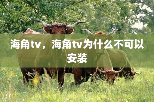 海角tv，海角tv为什么不可以安装