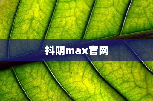 抖阴max官网