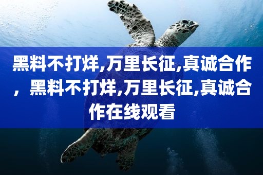 黑料不打烊,万里长征,真诚合作，黑料不打烊,万里长征,真诚合作在线观看