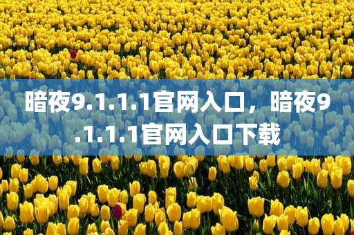 暗夜9.1.1.1官网入口，暗夜9.1.1.1官网入口下载