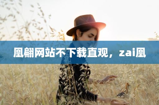 凰翩网站不下载直观，zai凰