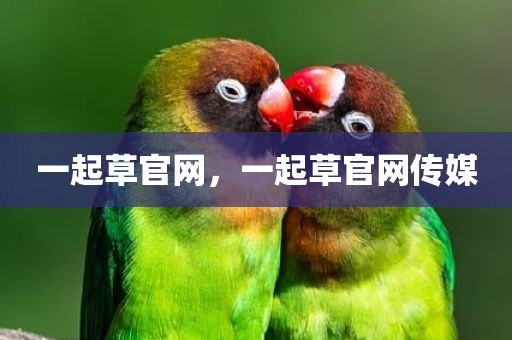 一起草官网，一起草官网传媒
