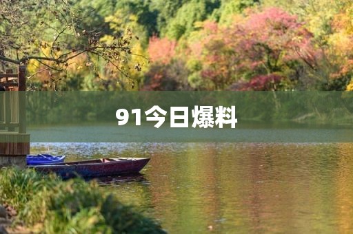 91今日爆料