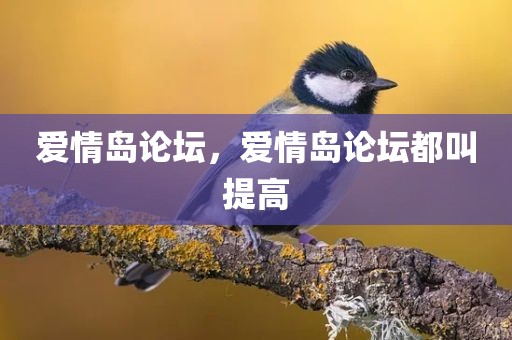 爱情岛论坛，爱情岛论坛都叫提高
