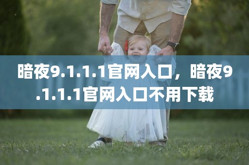 暗夜9.1.1.1官网入口，暗夜9.1.1.1官网入口不用下载