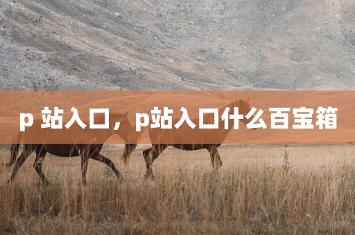 p 站入口，p站入口什么百宝箱