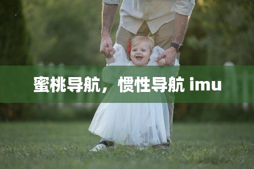 蜜桃导航，惯性导航 imu