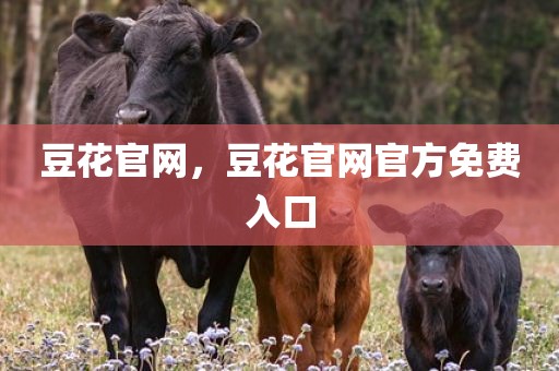 豆花官网，豆花官网官方免费入口