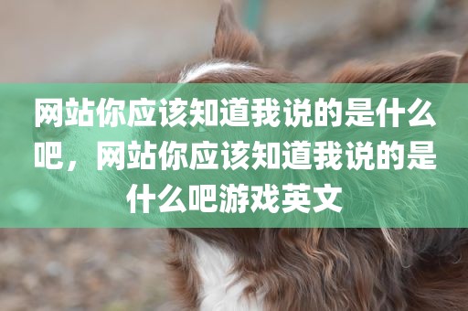 网站你应该知道我说的是什么吧，网站你应该知道我说的是什么吧游戏英文