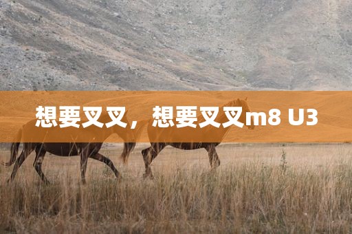想要叉叉，想要叉叉m8 U3
