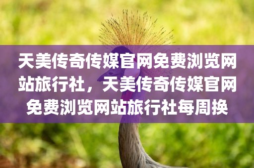 天美传奇传媒官网免费浏览网站旅行社，天美传奇传媒官网免费浏览网站旅行社每周换