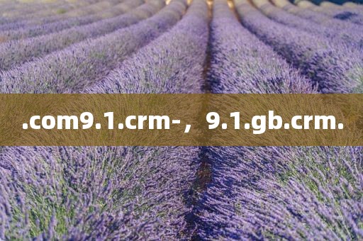 .com9.1.crm-，9.1.gb.crm.
