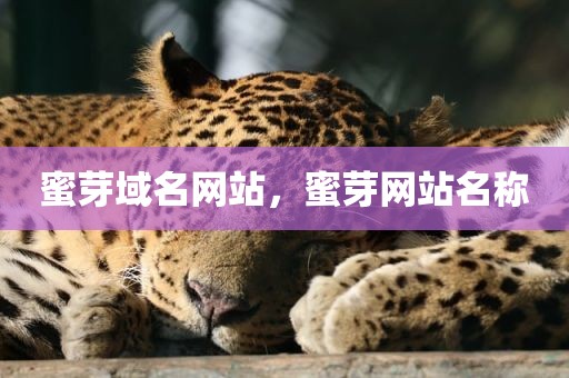 蜜芽域名网站，蜜芽网站名称