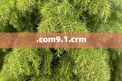 .com9.1.crm