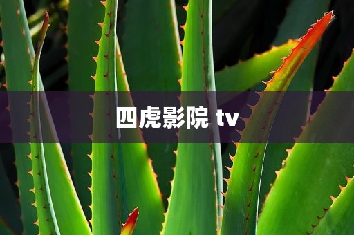 四虎影院 tv