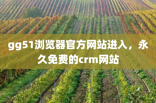 gg51浏览器官方网站进入，永久免费的crm网站