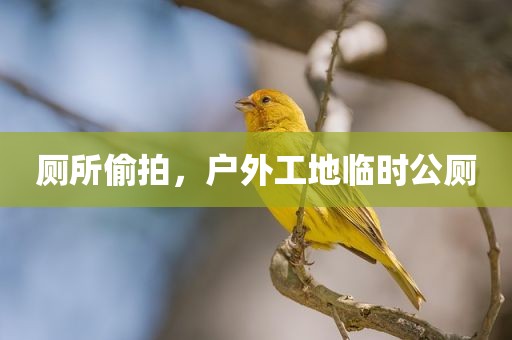 厕所偷拍，户外工地临时公厕