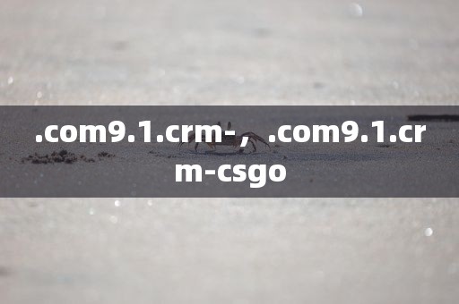 .com9.1.crm-，.com9.1.crm-csgo